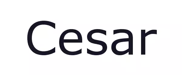 Producent Cesar