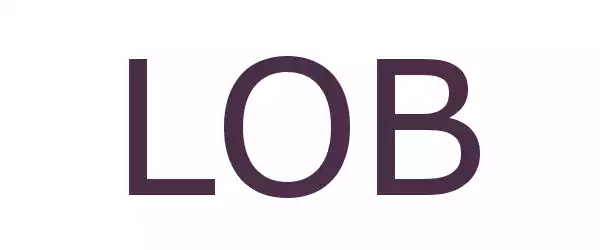 Producent LOB