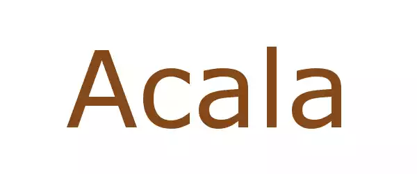 Producent Acala