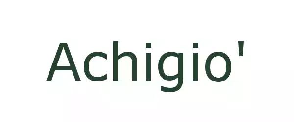 Producent Achigio'
