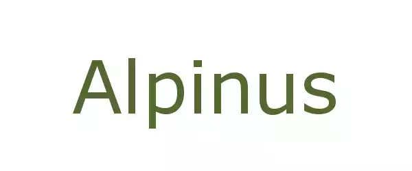 Producent Alpinus
