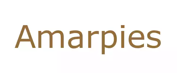 Producent Amarpies