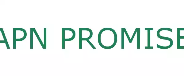 Producent APN PROMISE