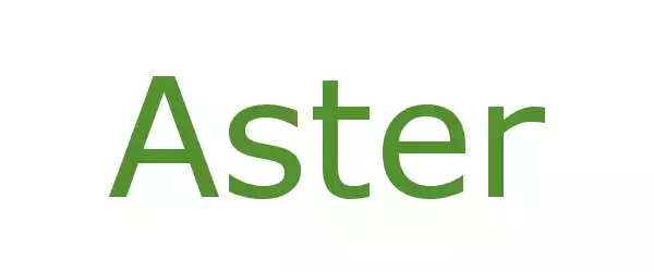 Producent Aster