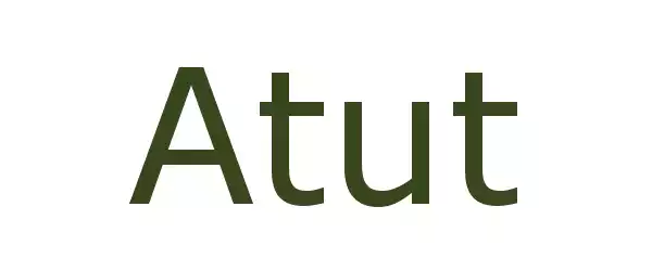 Producent Atut