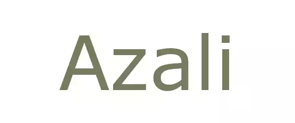 Producent Azali
