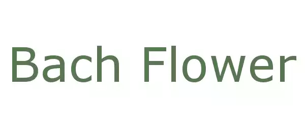 Producent Bach Flower