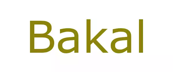 Producent Bakal
