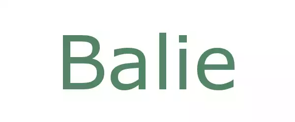 Producent Balie