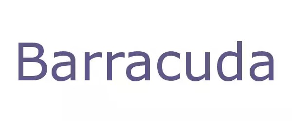 Producent Barracuda
