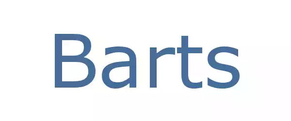 Producent Barts