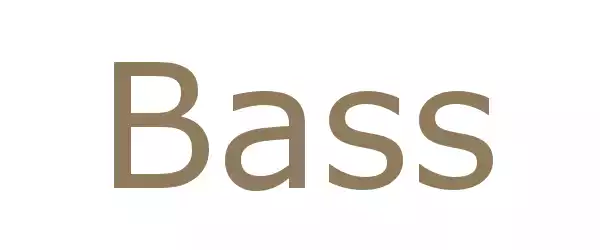 Producent Bass