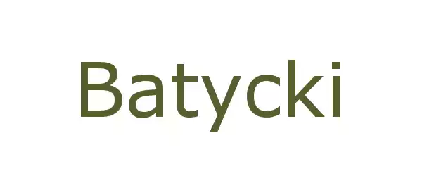 Producent Batycki