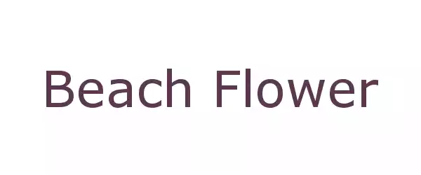 Producent Beach Flower