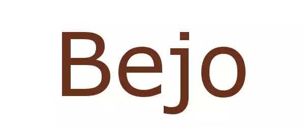 Producent Bejo