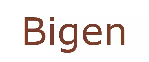 Producent Bigen