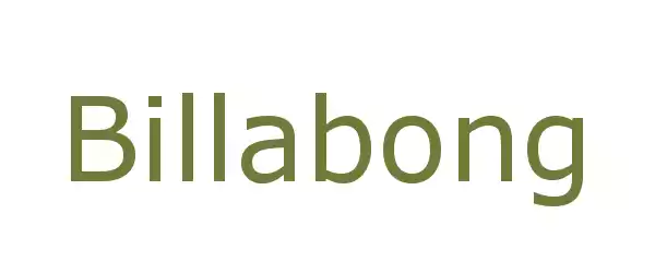 Producent Billabong