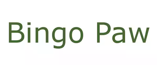 Producent Bingo Paw