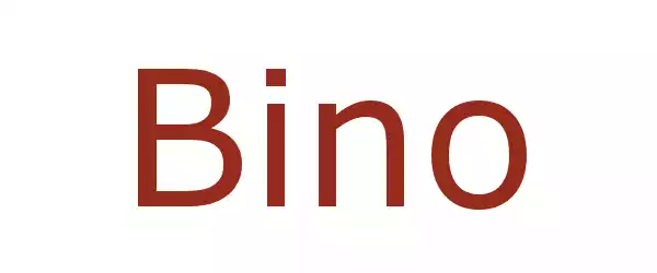 Producent Bino
