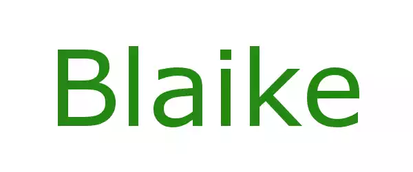 Producent Blaike