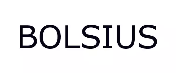Producent BOLSIUS