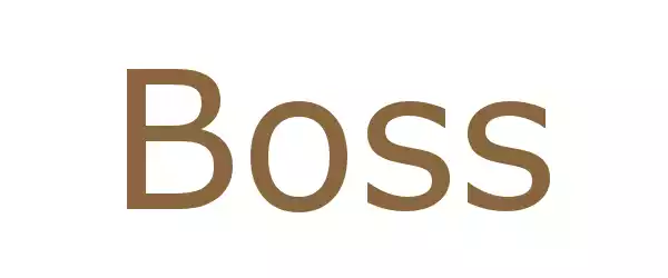 Producent BOSS