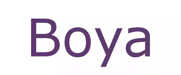Producent BOYA