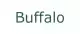 Sklep cena Buffalo