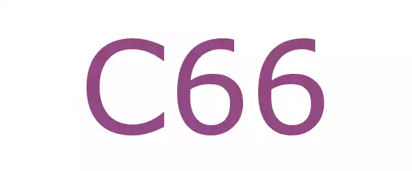Producent C66
