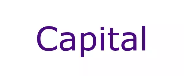 Producent Capital