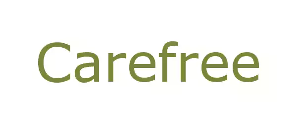 Producent Carefree