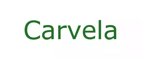 Producent Carvela