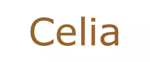 Producent Celia