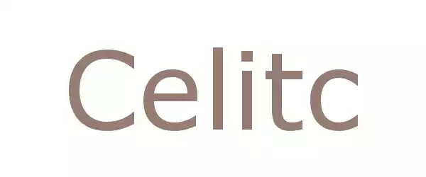 Producent Celitc