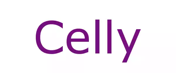 Producent CELLY