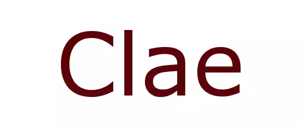 Producent Clae