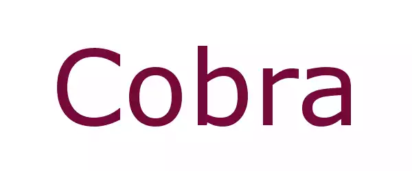 Producent COBRA