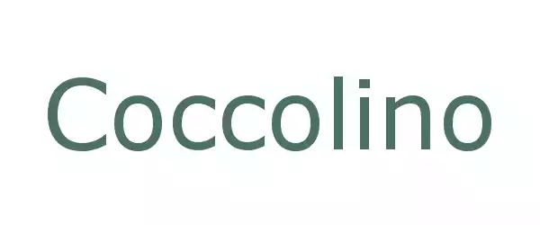 Producent Coccolino