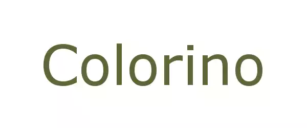 Producent Colorino