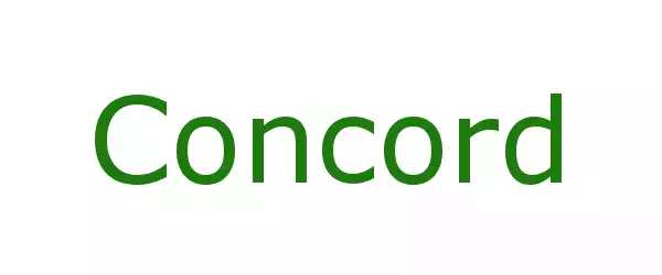 Producent Concord