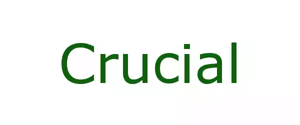 Producent Crucial