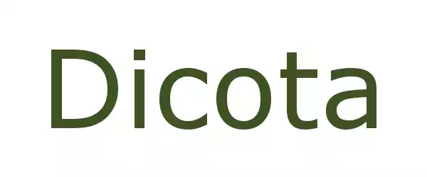 Producent DICOTA