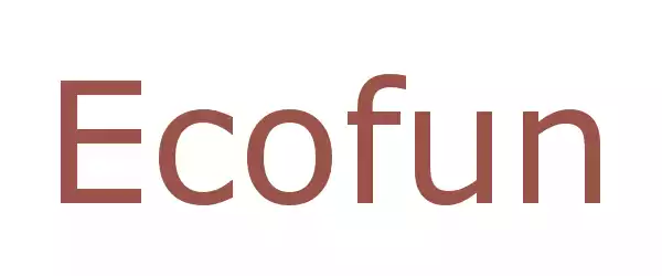 Producent Ecofun