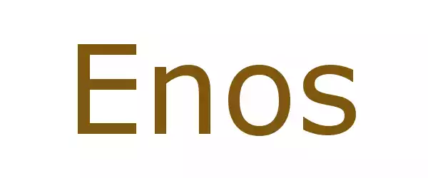 Producent Enos