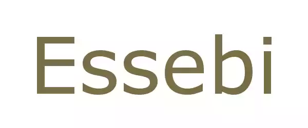 Producent Essebi