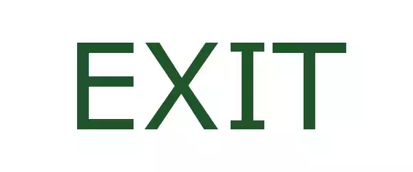 Producent EXIT