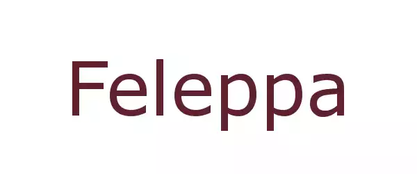 Producent Feleppa