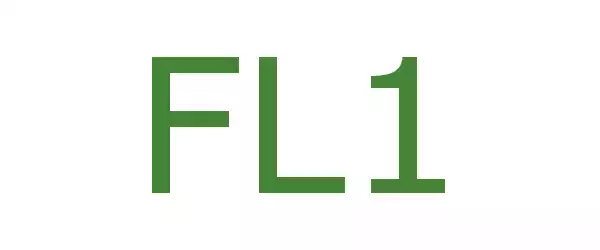 Producent FL1