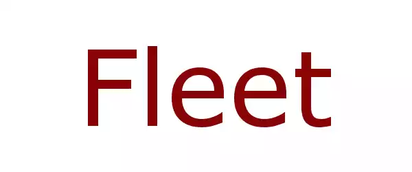 Producent Fleet