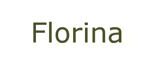 Producent FLORINA